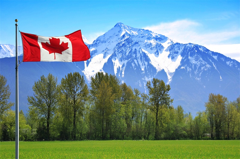 湖北澳星助客户二周拿到加拿大10年签证