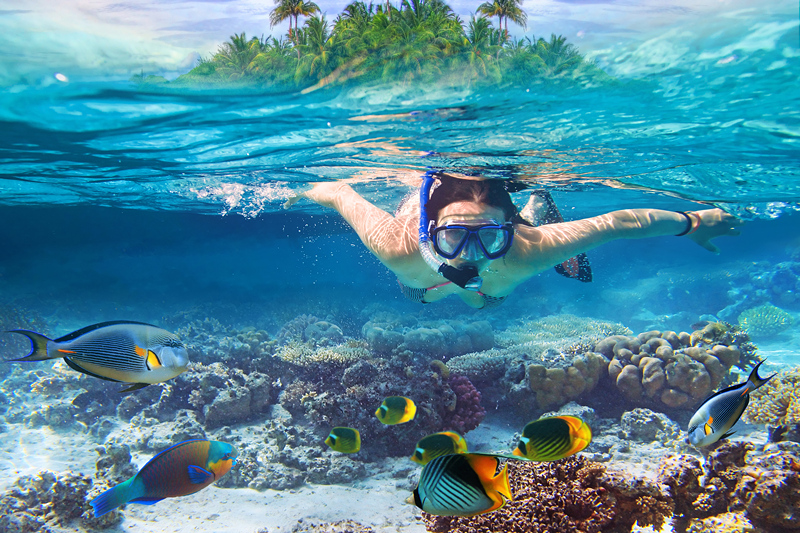 泰國旅游——潛水圣地你都知道嗎？